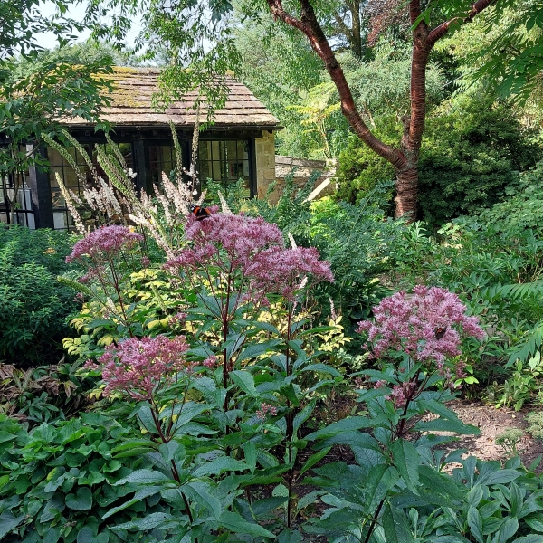 Parcevall Hall Gardens